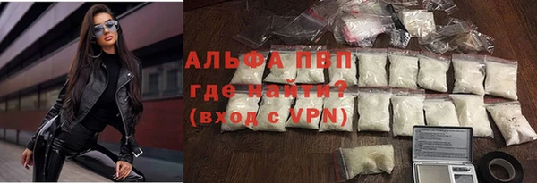 спиды Корсаков