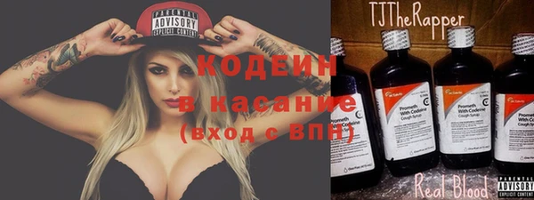 крисы Костерёво