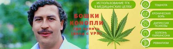 метадон Козловка