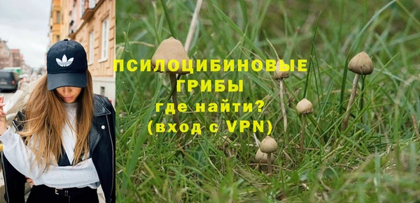 эйфоретик Кодинск