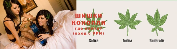 крисы Коряжма