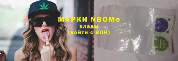 крисы Коряжма