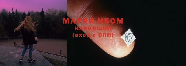 крисы Коряжма