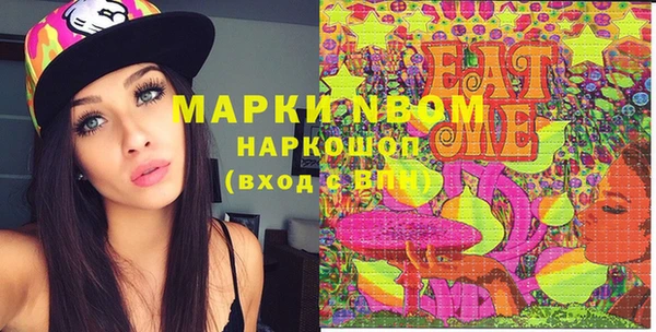 крисы Коряжма